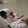Sankaku 2014