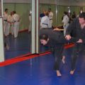 IMG_8990.jpg