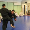 IMG_9017.jpg