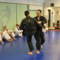 IMG_9024.jpg