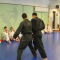 IMG_9039.jpg