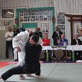IMG_0311.jpg