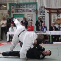 IMG_0312.jpg