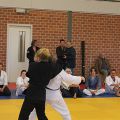 IMG_1017.jpg