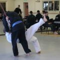IMG_2204.jpg