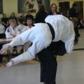 IMG_2210.jpg