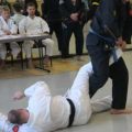 IMG_2211.jpg