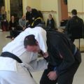 IMG_2214.jpg