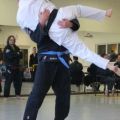 IMG_2221.jpg