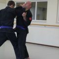 IMG_2227.jpg