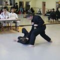 IMG_2240.jpg