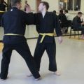 IMG_2242.jpg
