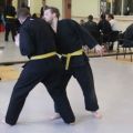IMG_2245.jpg