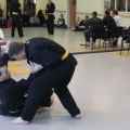 IMG_2247.jpg