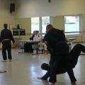 IMG_2262.jpg