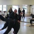 IMG_2282.jpg