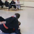 IMG_2298.jpg
