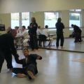 IMG_2342.jpg