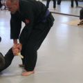 IMG_2344.jpg