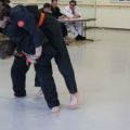 IMG_2376.jpg