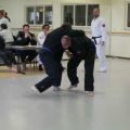IMG_2447.jpg