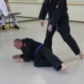 IMG_2462.jpg