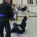 IMG_2504.jpg