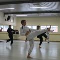 IMG_3293.jpg