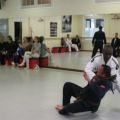 IMG_3312.jpg