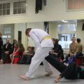 IMG_3375.jpg