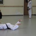 Kaibo-Jitsu-stage-2-dec-2012-022.jpg