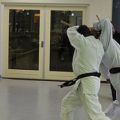 Kaibo-Jitsu-stage-2-dec-2012-039.jpg