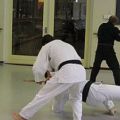 Kaibo-Jitsu-stage-2-dec-2012-040.jpg