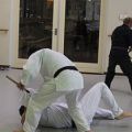 Kaibo-Jitsu-stage-2-dec-2012-041.jpg