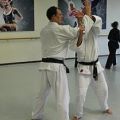 Kaibo-Jitsu-stage-2-dec-2012-114.jpg