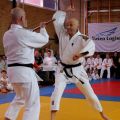 124-Tai-Jitsu-demonstratie-Volendam-14-april-2013-124.jpg