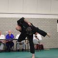 IMG_8064.jpg