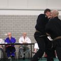 IMG_8182.jpg