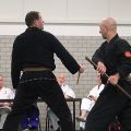 IMG_8186.jpg