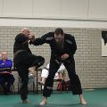 IMG_8228.jpg