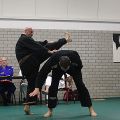 IMG_8230.jpg