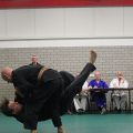 IMG_8260.jpg