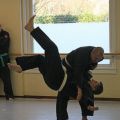 IMG_8404.jpg