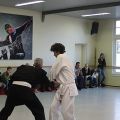IMG_8413.jpg