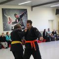 IMG_8454.jpg