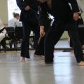 IMG_8521.jpg