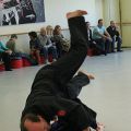 IMG_8564.jpg