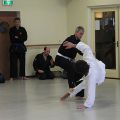 IMG_8687.jpg
