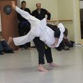 IMG_8703.jpg