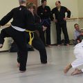 IMG_8704.jpg